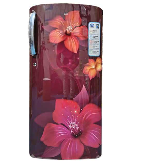 CG 175 Liter Single Door Refrigerator( CGS190SR01)