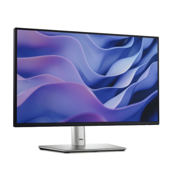 Dell Moniter 22